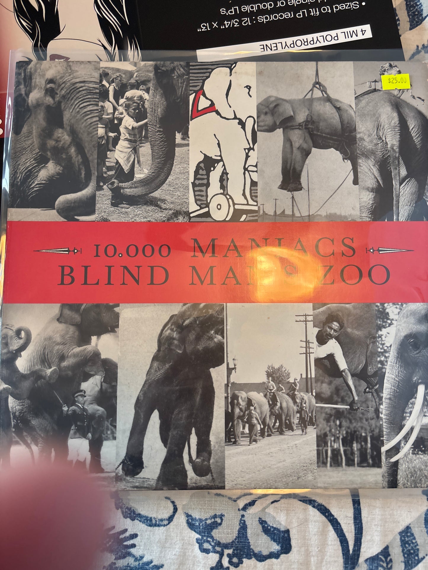 10,000 Maniacs - Bling Man’s Zoo - Vyle Vinyl