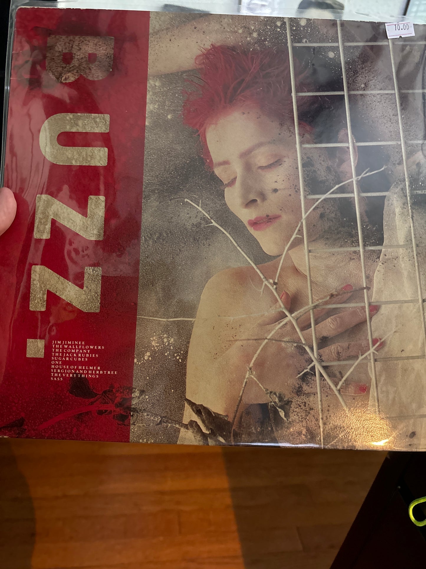 Various Artist - Buzz (New Wave Comp from Germany) - Vyle Vinyl