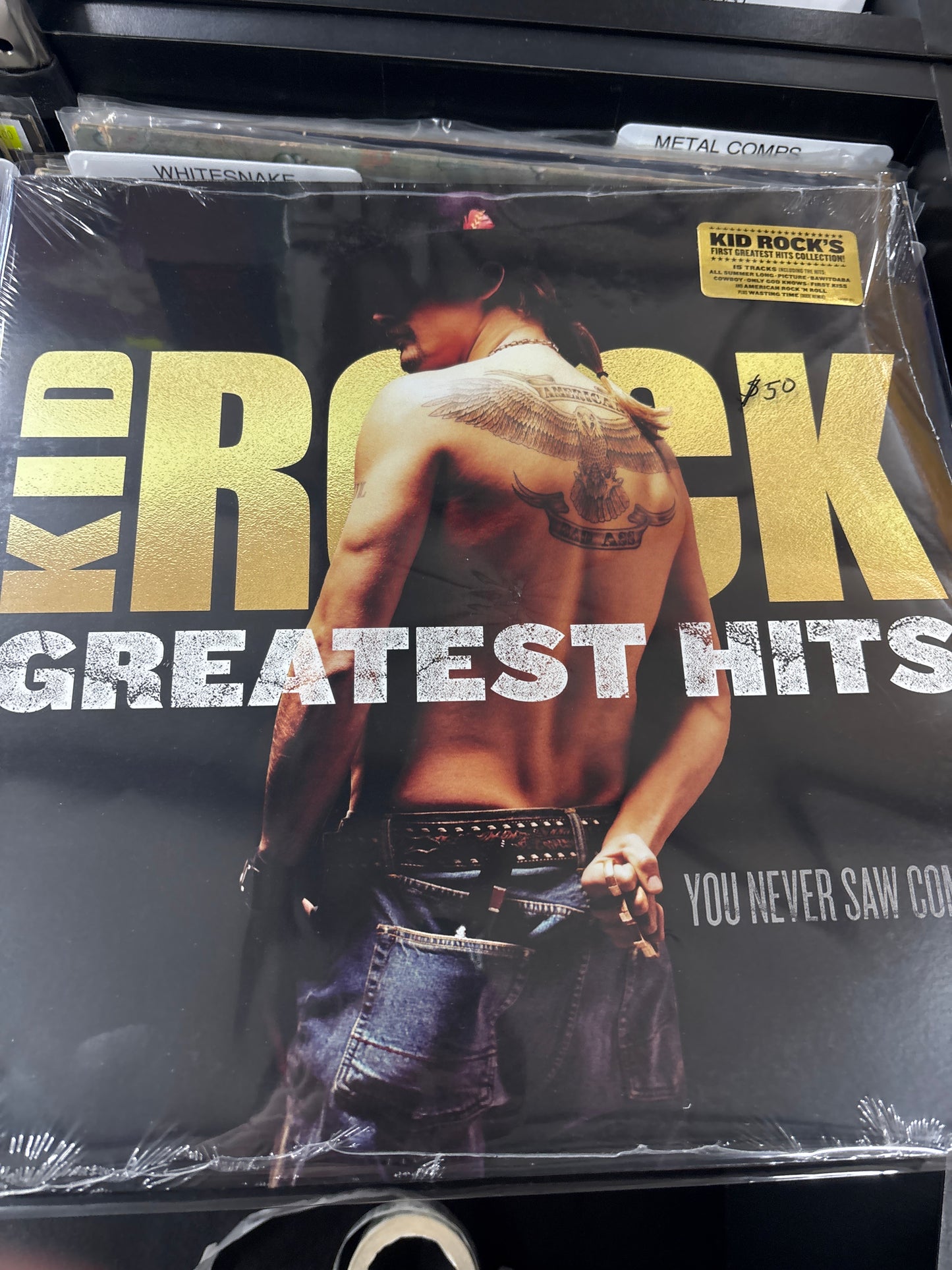 Kid Rock - Greatest Hits - Vyle Vinyl
