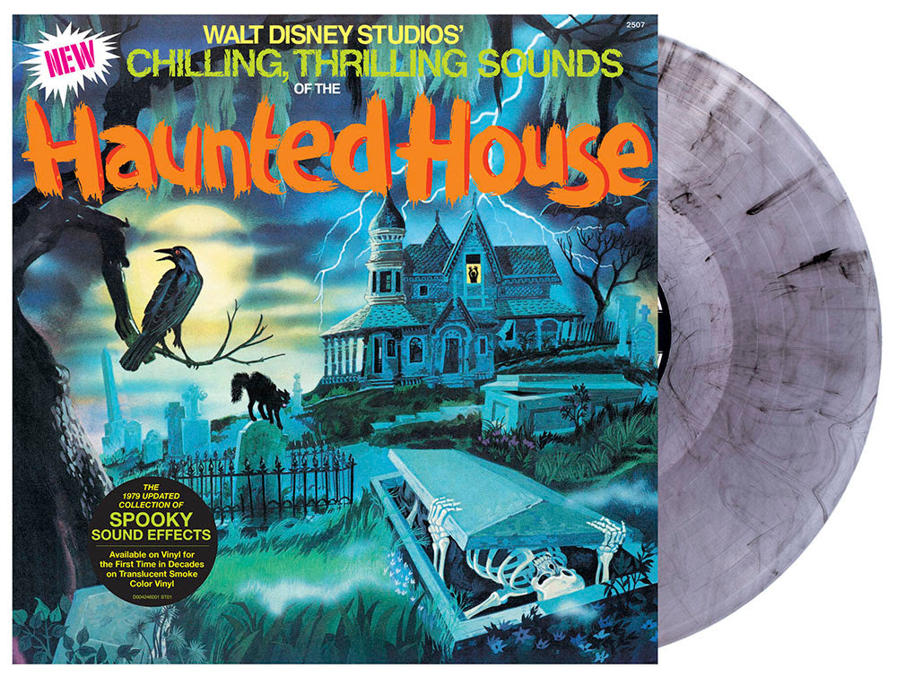Chilling, Thrilling Sounds of The Haunted House - Vyle Vinyl