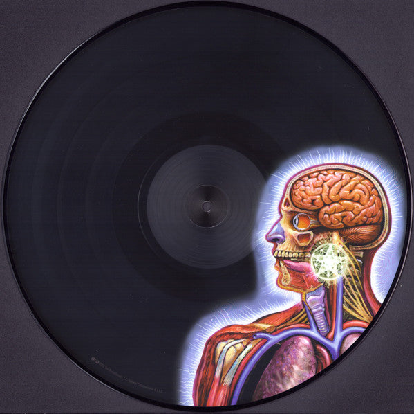 Lateralus Discogs image 7