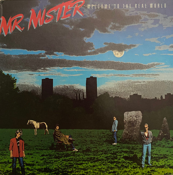 Mr. Mister - Vyle Vinyl