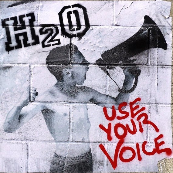 H2O - Use Your Voice - Vyle Vinyl