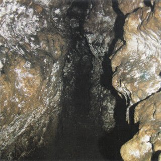 Shroud Of Despondency - Dark Meditations In Monastic Seclusion (CD) - Vyle Vinyl