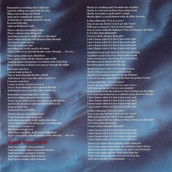 USED - Meat Loaf - Bat Out Of Hell II: Back Into Hell (CD) - Vyle Vinyl