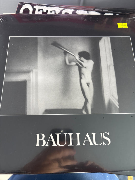Bauhaus - In A Flat Field