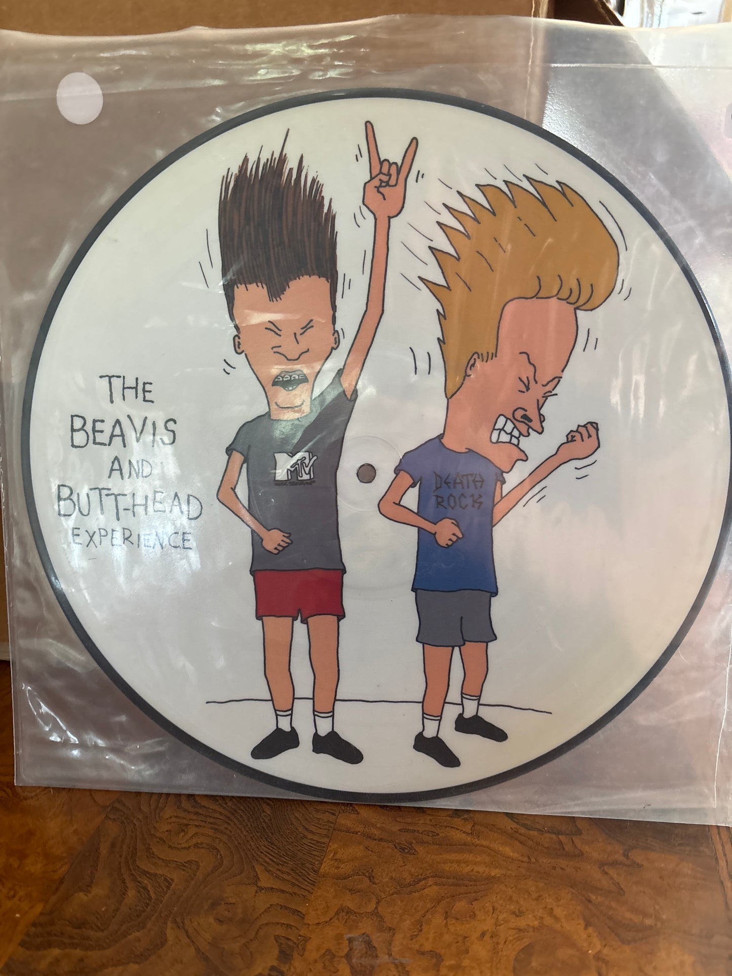 The Beavis and Butthead Experience Picture Disc