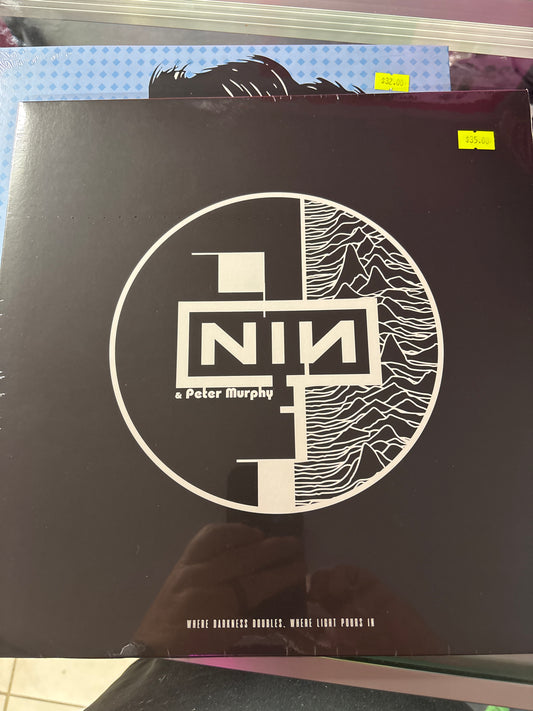 Nine Inch Nails and Peter Murphy