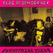 Flag of Democracy - Everything Sucks - Vyle Vinyl