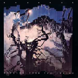 Bauhaus - BURNING from The Inside - Vyle Vinyl