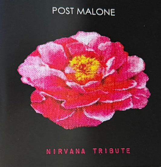 Post Malone - Nirvana Tribute