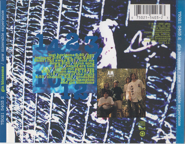 New Miserable Experience Discogs image 2