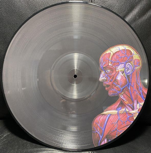 Lateralus Discogs image 4