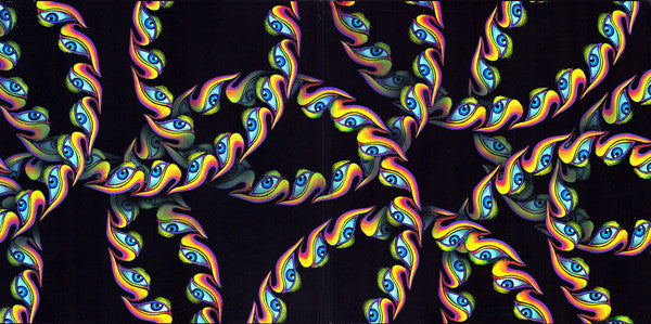 Lateralus Discogs image 4