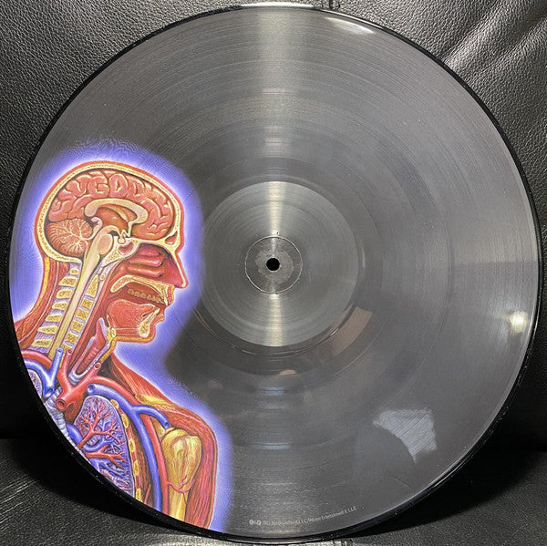 Lateralus Discogs image 7