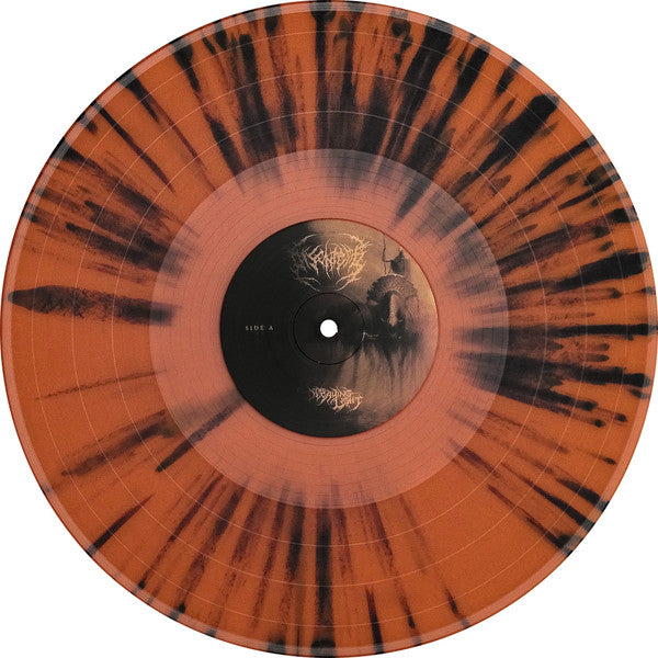 The Decaying Light Discogs image 4