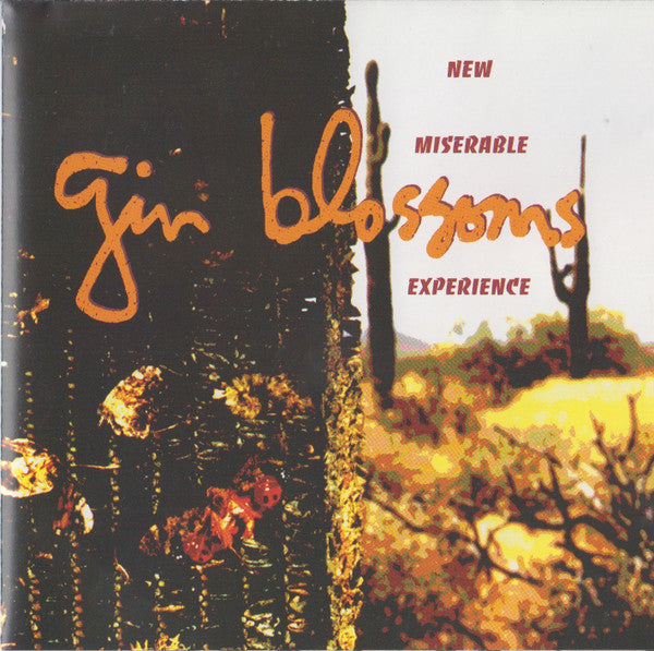 New Miserable Experience Discogs cover art