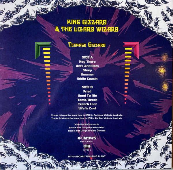 Teenage Gizzard Discogs image 2