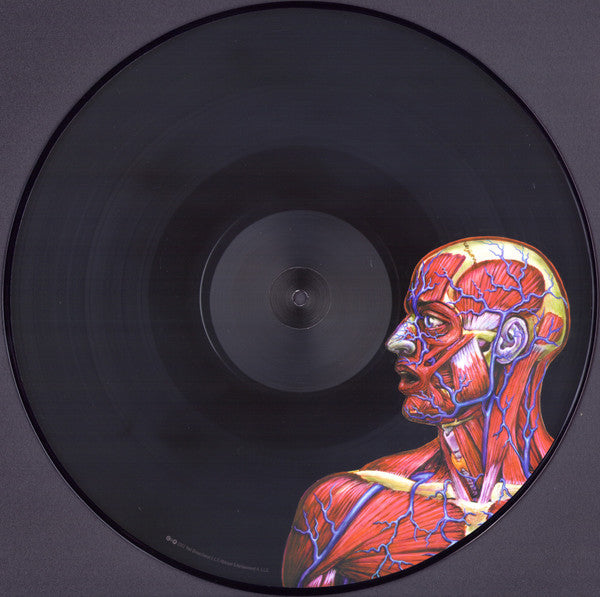Lateralus Discogs image 5