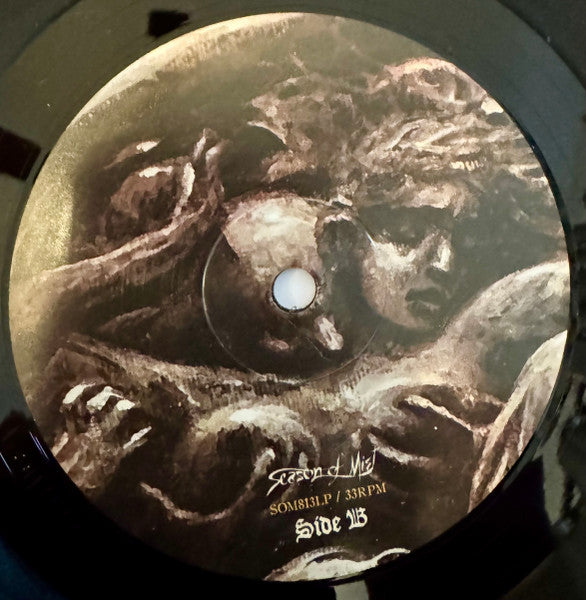 Chronicles of Lunacy Discogs image 6