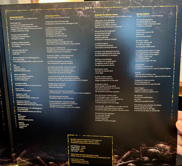 Chronicles of Lunacy Discogs image 4