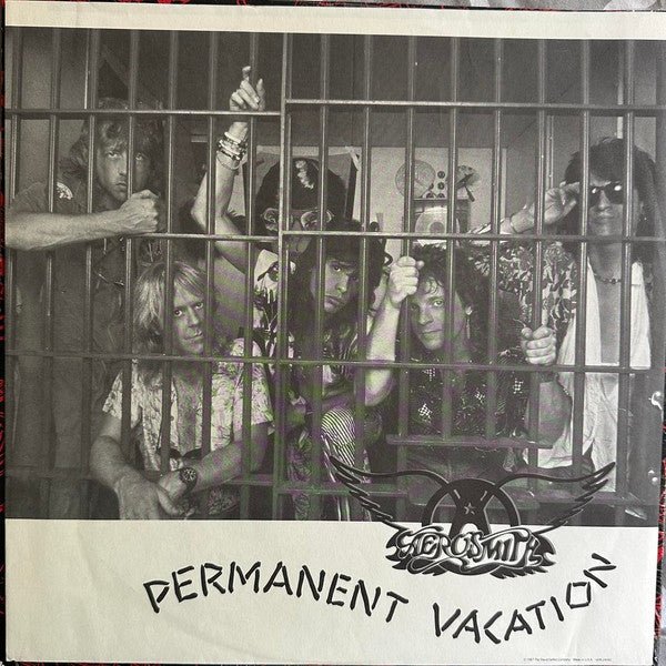 Aerosmith - Permanent Vacation (LP) - Vyle Vinyl
