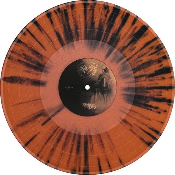 Disentomb - The Decaying Light (LP) - Vyle Vinyl