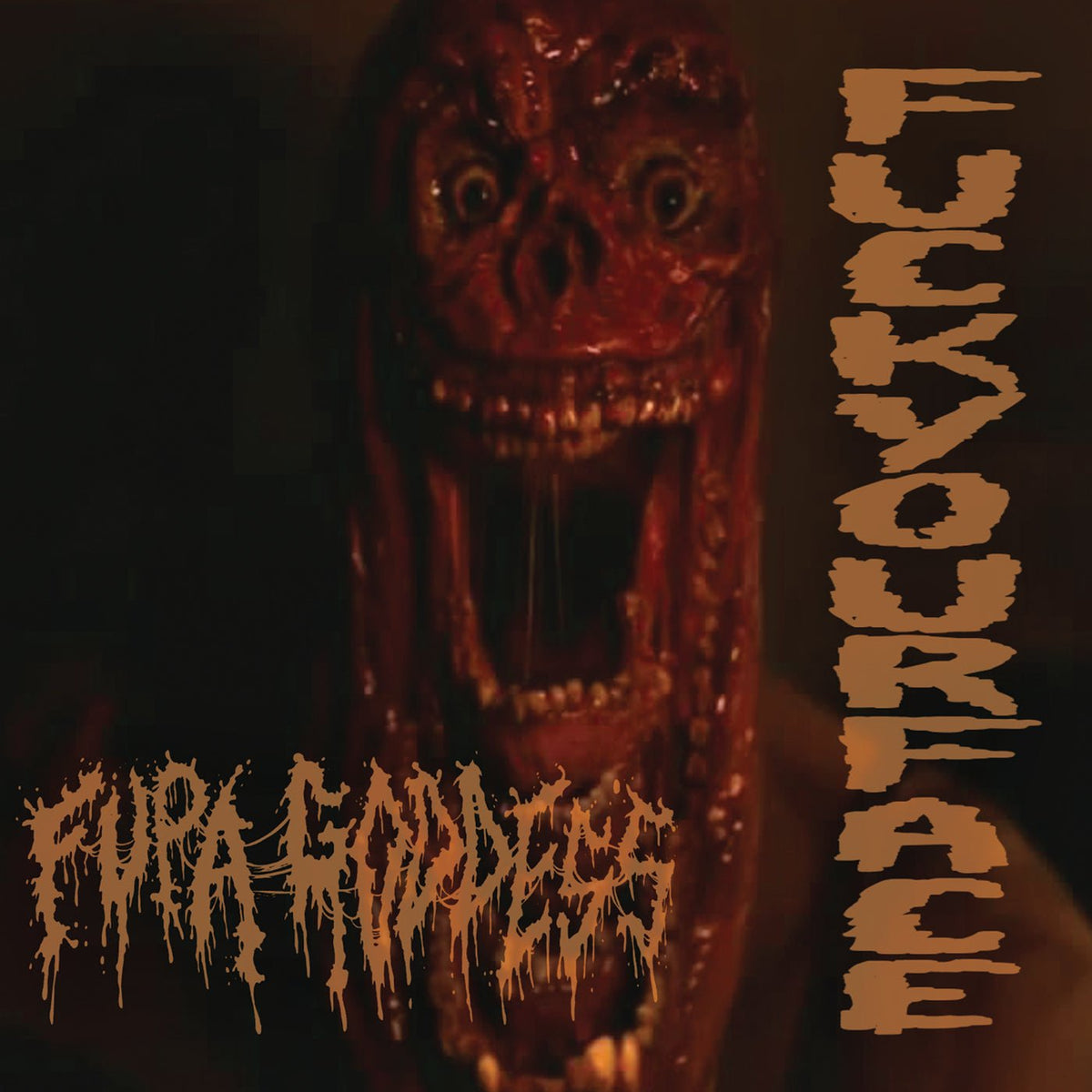 FUPA GODDESS - Fuckyourface CD - Vyle Vinyl