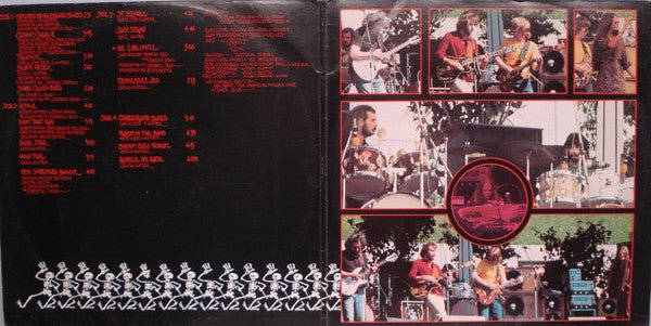 Grateful Dead, The - What A Long Strange Trip It's Been: The Best Of The Grateful Dead (2xLP) - Vyle Vinyl