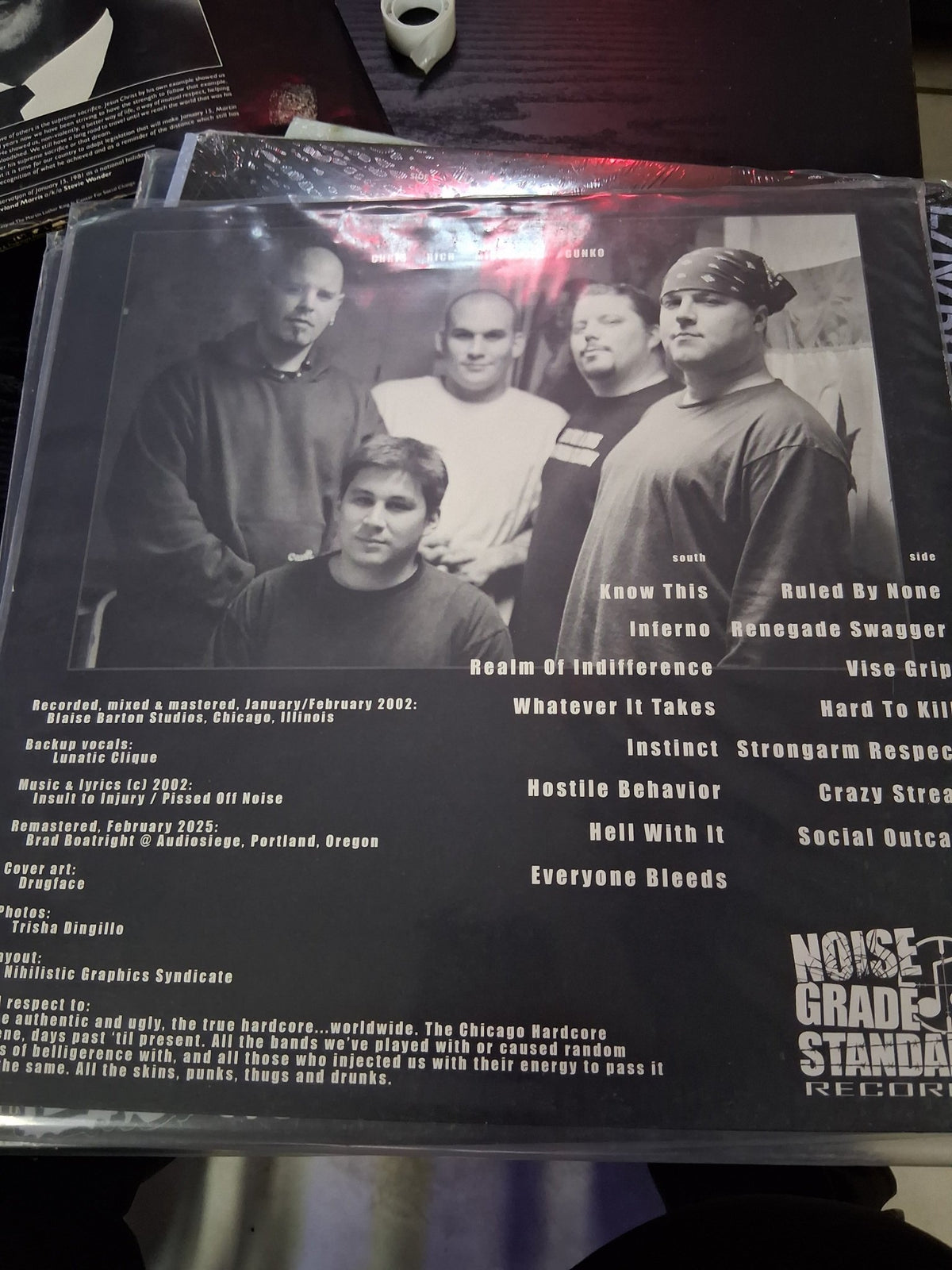 Insult to injury Realm Of Indifference - Vyle Vinyl
