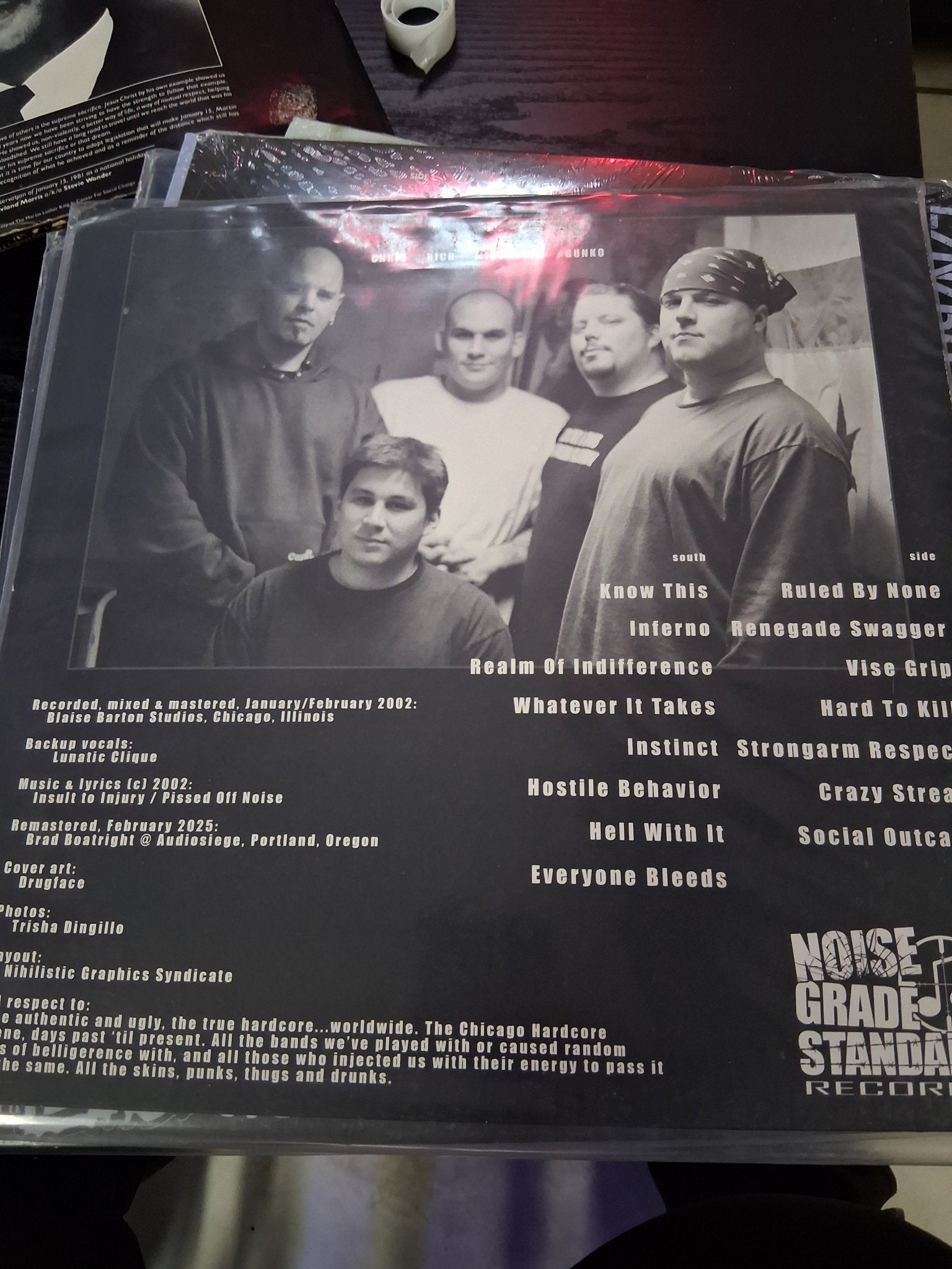 Insult to injury Realm Of Indifference - Vyle Vinyl