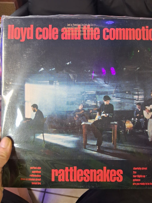 Lloyd Cole and the Commotions - Vyle Vinyl