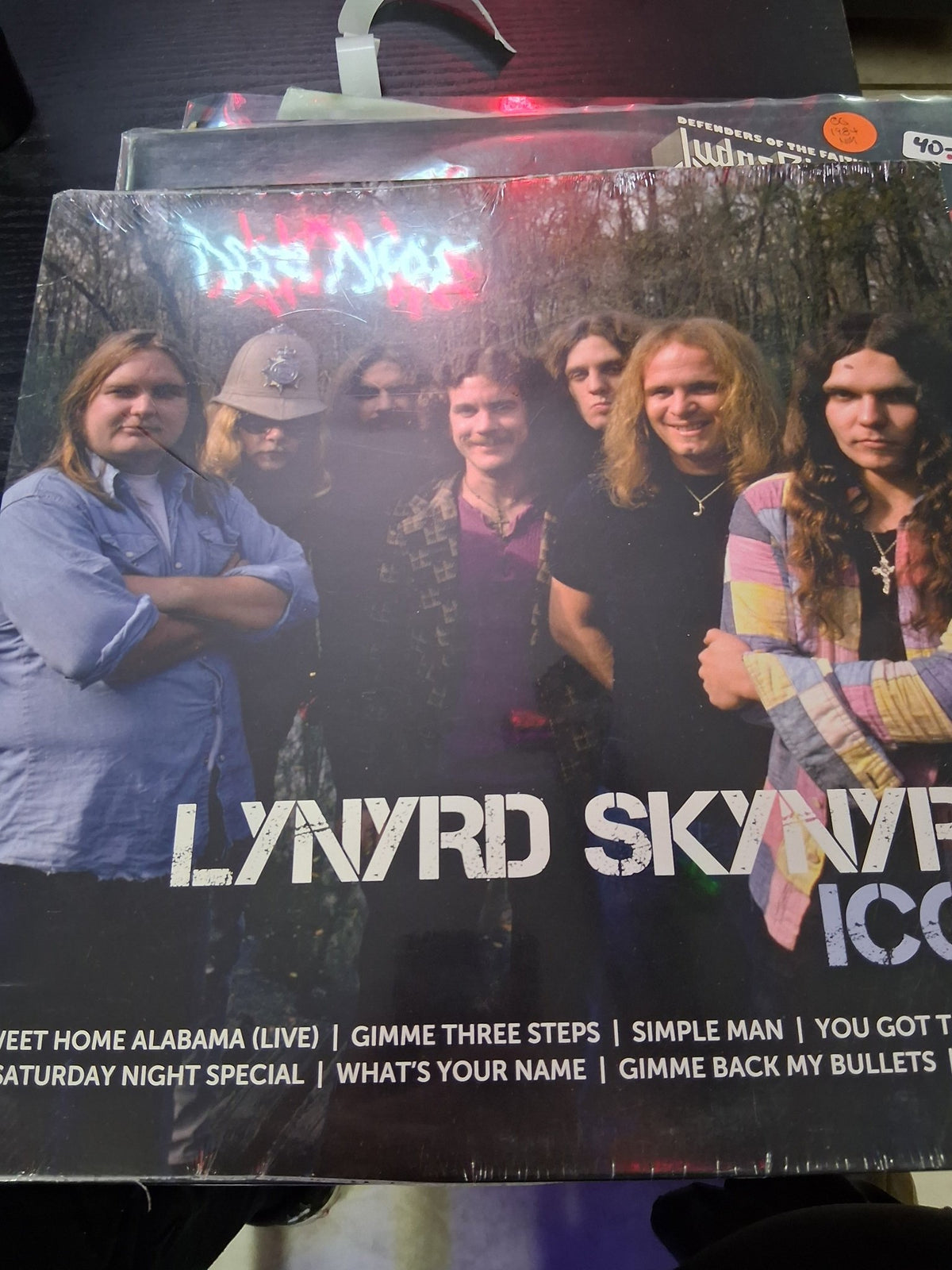 Lynyrd skynyrd icon - Vyle Vinyl
