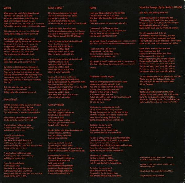 Manowar - Into Glory Ride (LP) - Vyle Vinyl
