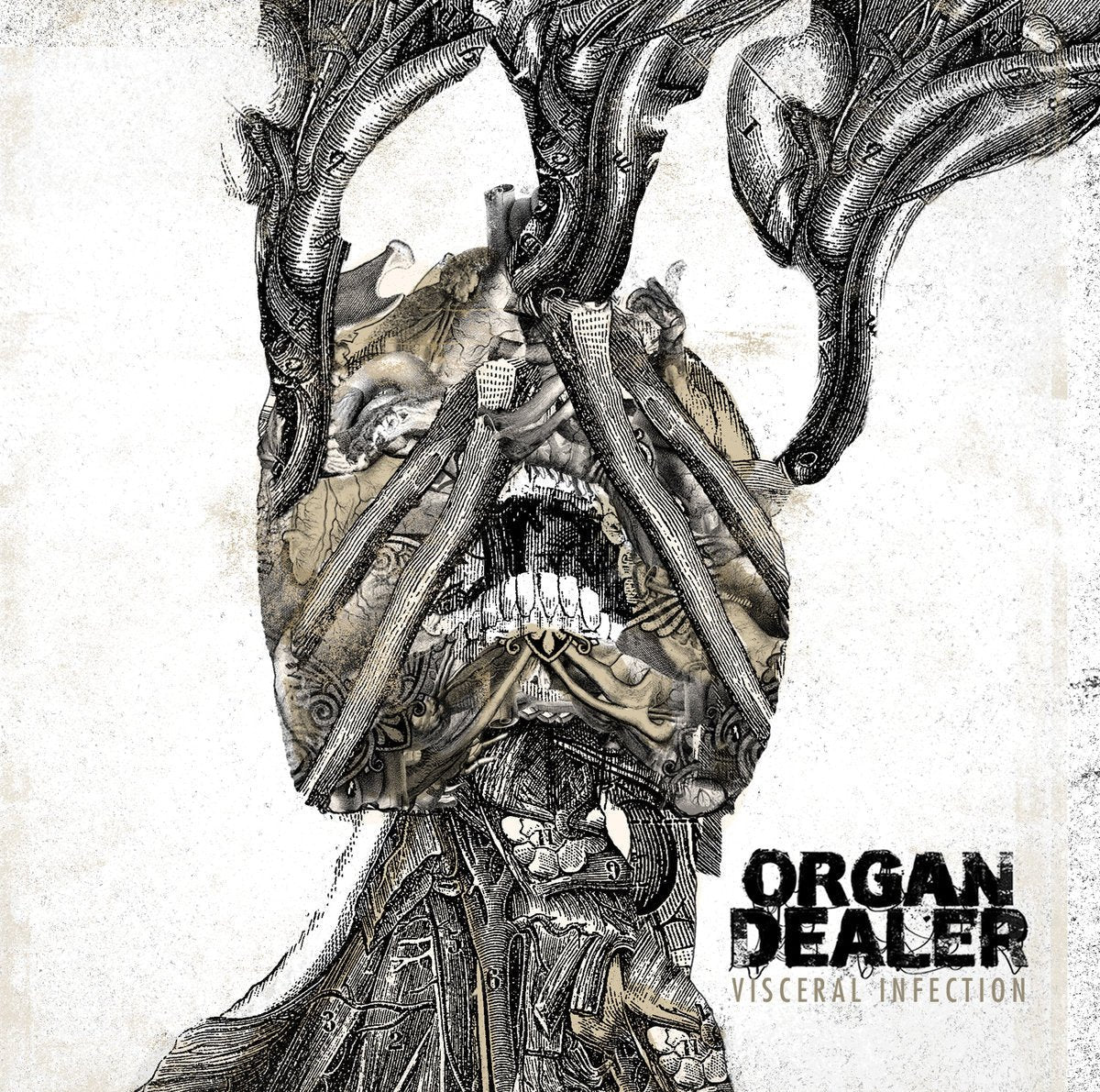 ORGAN DEALER - Visceral Infection CD - Vyle Vinyl