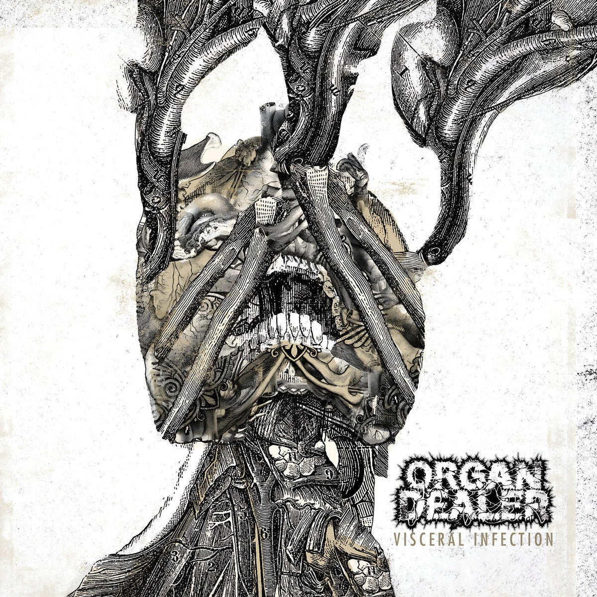 ORGAN DEALER - Visceral Infection LP (Metallic Silver) LTD To 141 - Vyle Vinyl