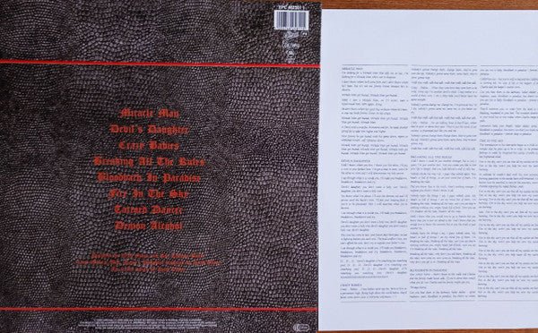 Ozzy Osbourne - No Rest For The Wicked (LP) - Vyle Vinyl