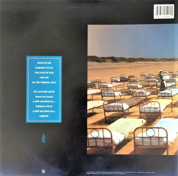 Pink Floyd - A Momentary Lapse Of Reason (LP) - Vyle Vinyl