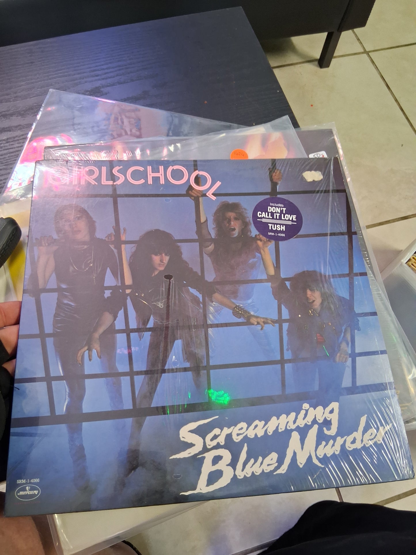 Girlschool  screaming blue murder
