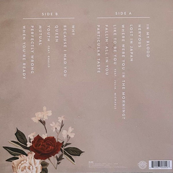 Shaun Mendes - Vyle Vinyl