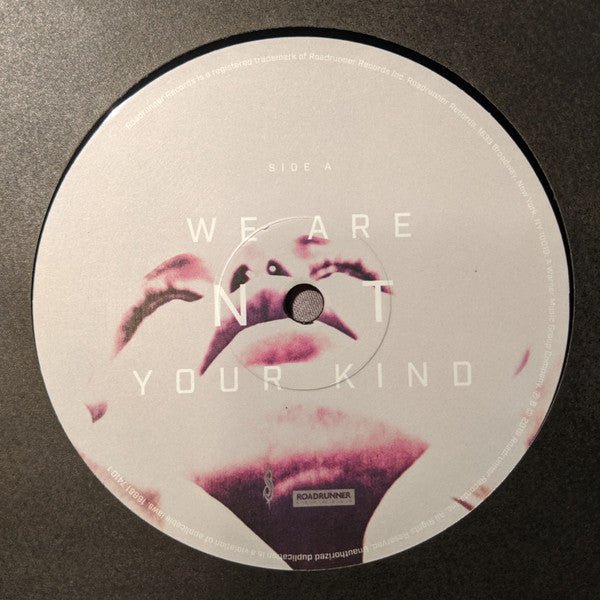 Slipknot - We Are Not Your Kind (2xLP) - Vyle Vinyl