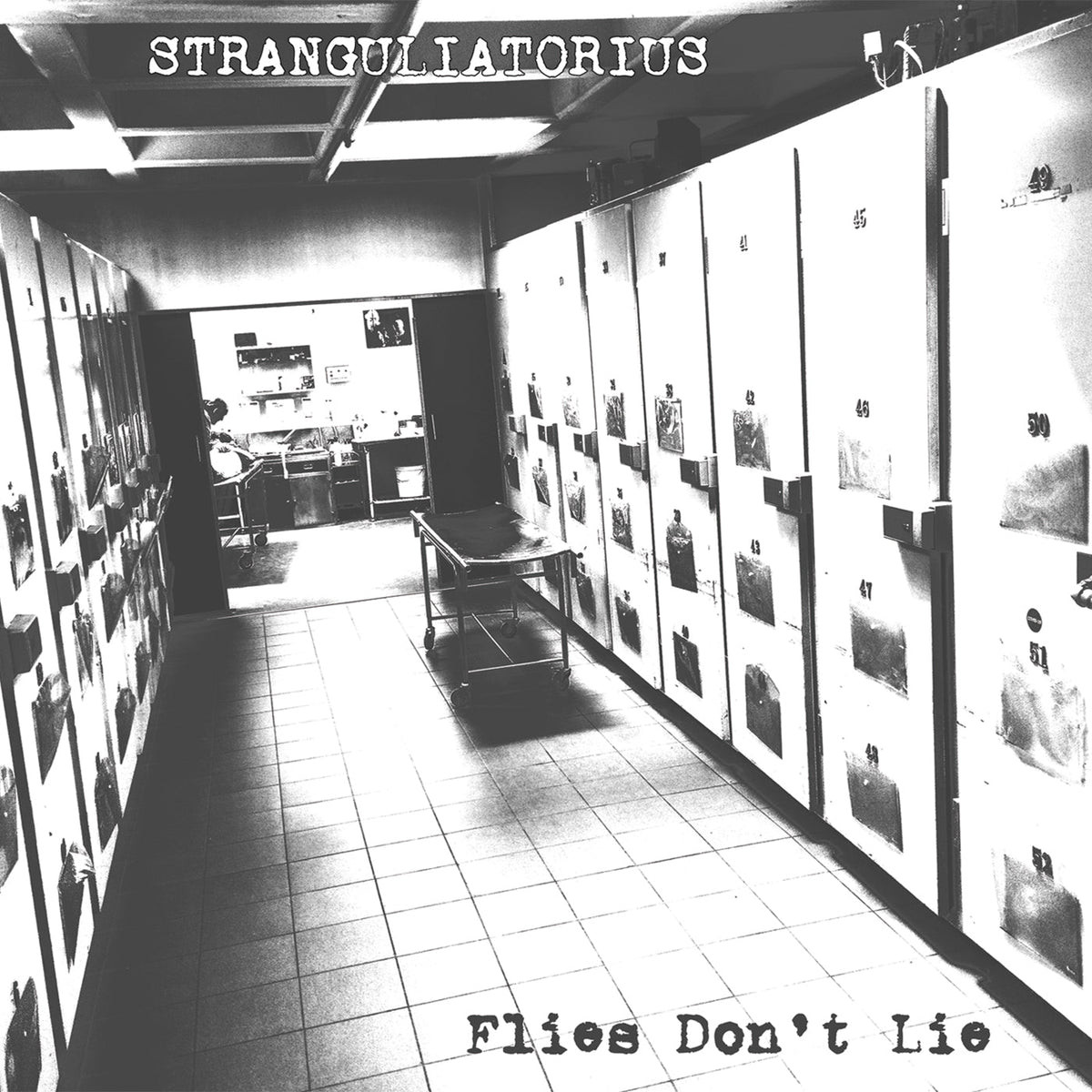 STRANGULIATORIUS - Flies Don't Lie CD - Vyle Vinyl