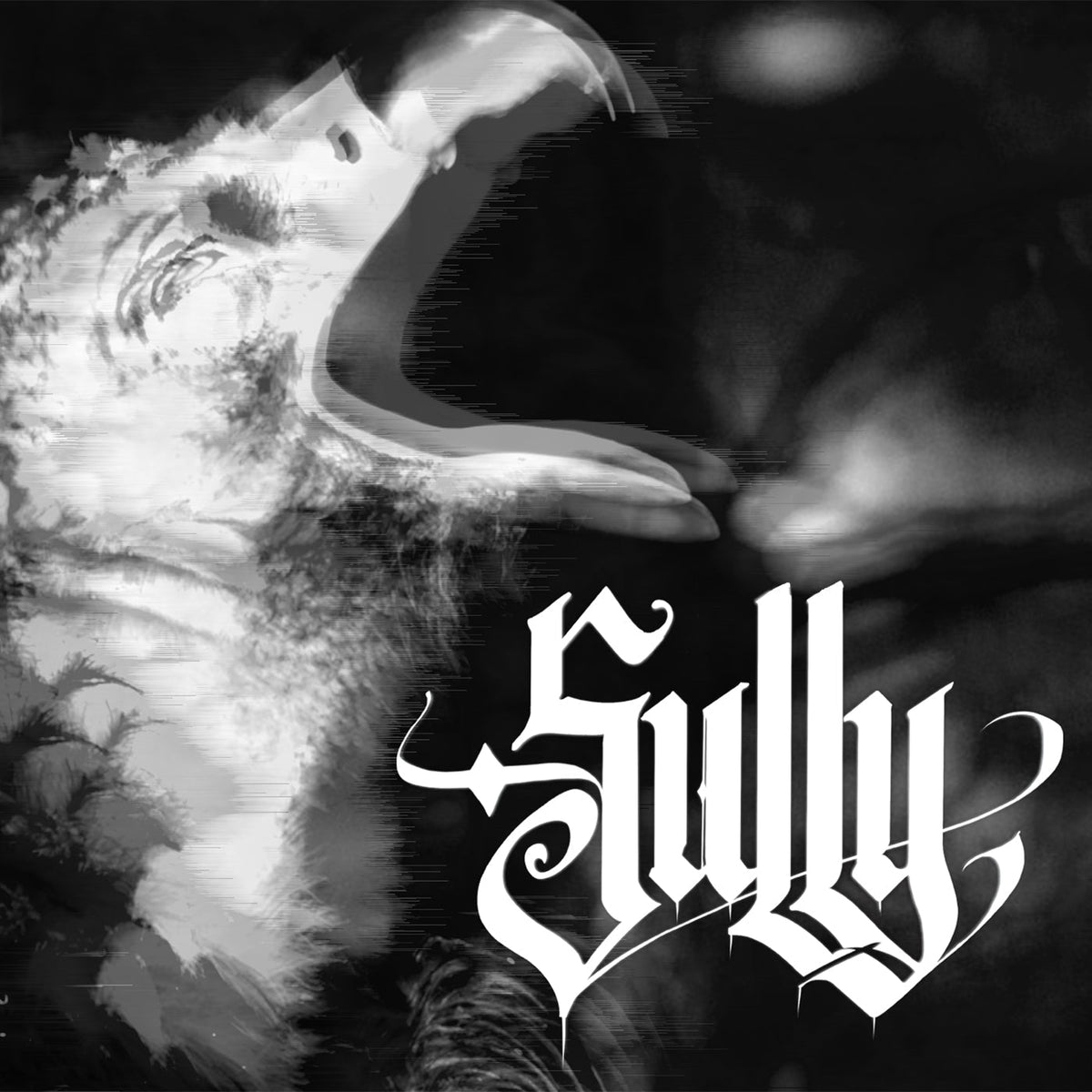 SULLY - Sully CD - Vyle Vinyl