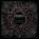 Unanimated - In The Light of Darkness - Vyle Vinyl