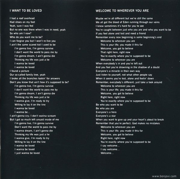 USED - Bon Jovi - Have A Nice Day (CD) - Vyle Vinyl