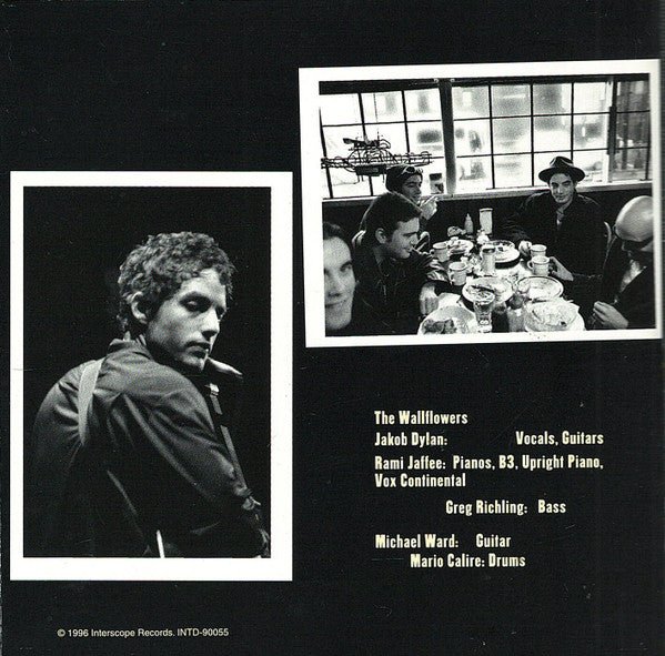 USED - Wallflowers, The - Bringing Down The Horse (CD) - Vyle Vinyl