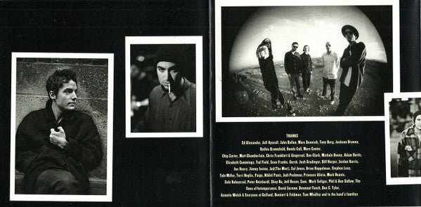 USED - Wallflowers, The - Bringing Down The Horse (CD) - Vyle Vinyl